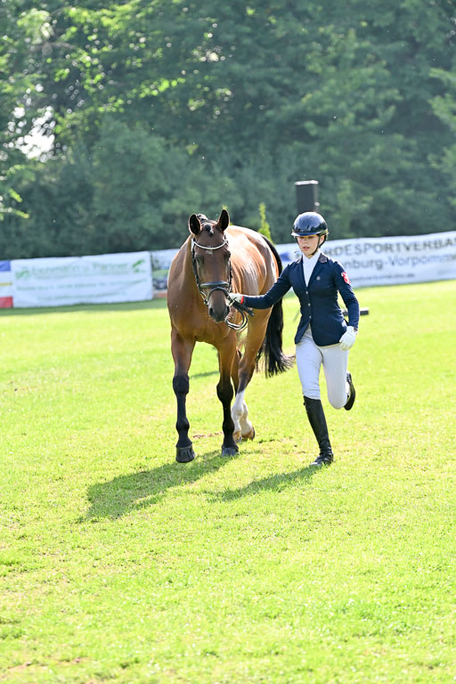  | 15062025 Vormustern _403 