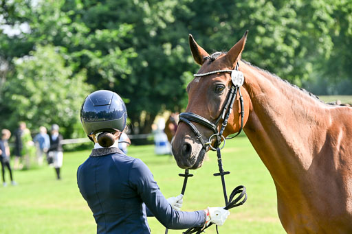  | 15062025 Vormustern _409 