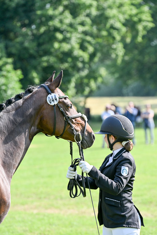  | 15062025 Vormustern _427 