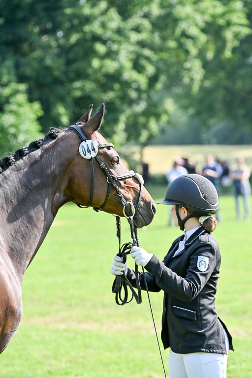  | 15062025 Vormustern _428 