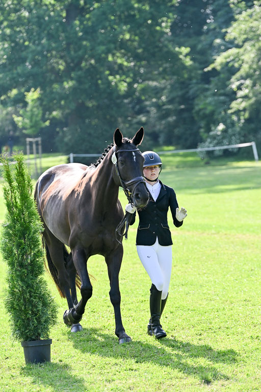  | 15062025 Vormustern _429 