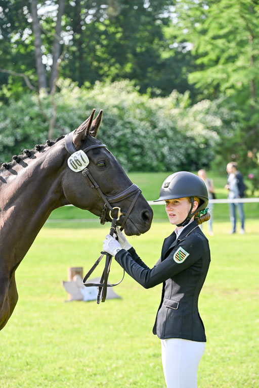  | 15062025 Vormustern _431 