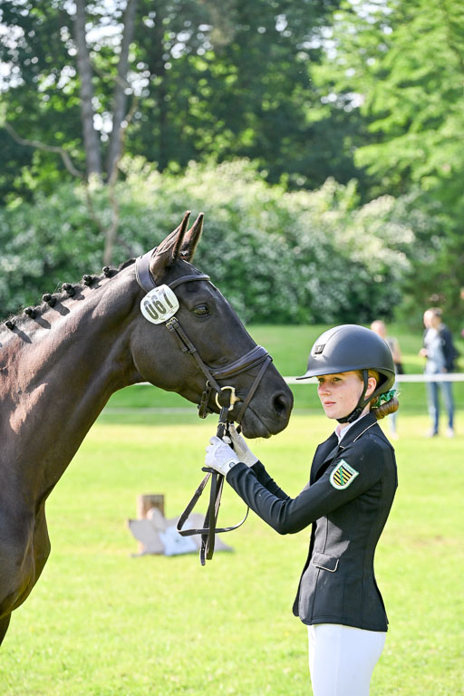  | 15062025 Vormustern _432 