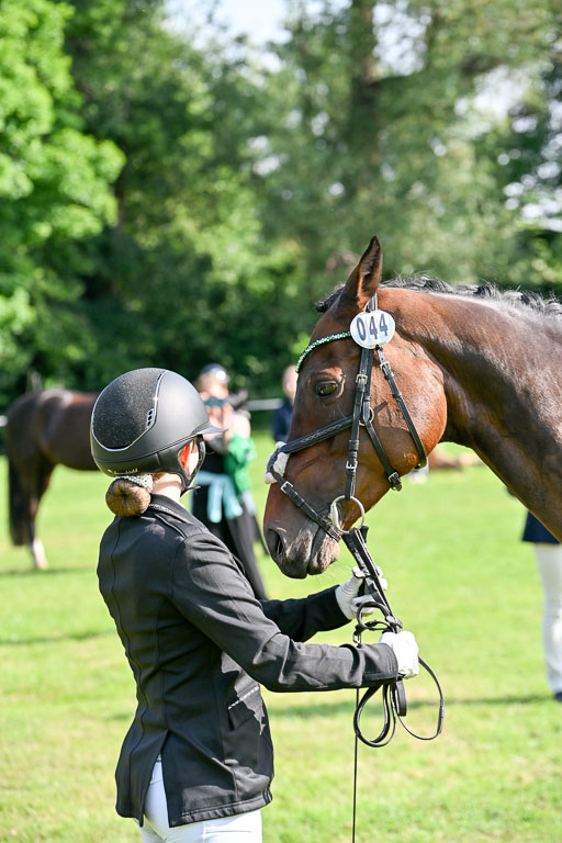  | 15062025 Vormustern _434 