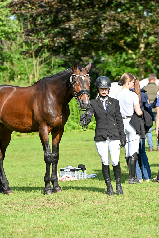  | 15062025 Vormustern _447 