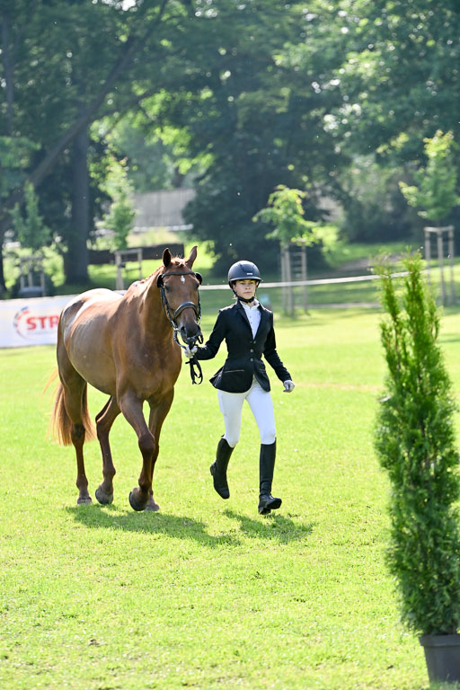  | 15062025 Vormustern _451 