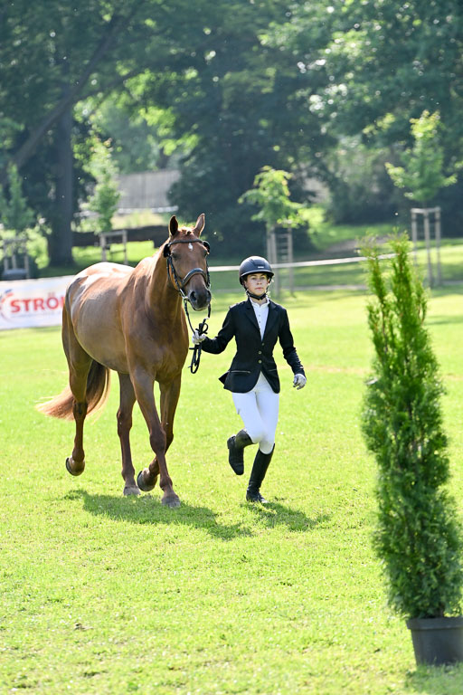  | 15062025 Vormustern _452 