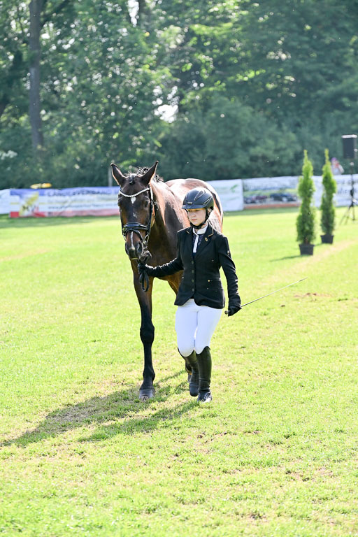  | 15062025 Vormustern _456 