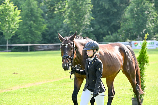  | 15062025 Vormustern _457 