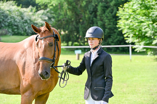  | 15062025 Vormustern _460 