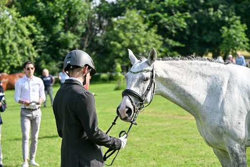  | 15062025 Vormustern _473 