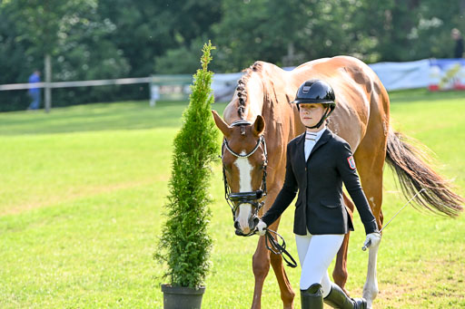  | 15062025 Vormustern _484 