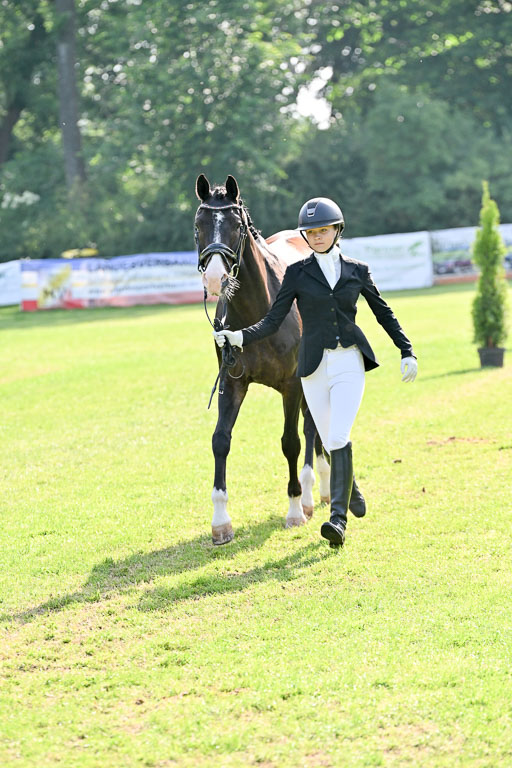  | 15062025 Vormustern _493 