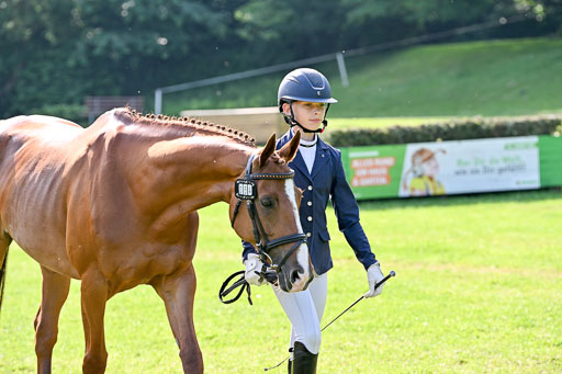  | 15062025 Vormustern _503 