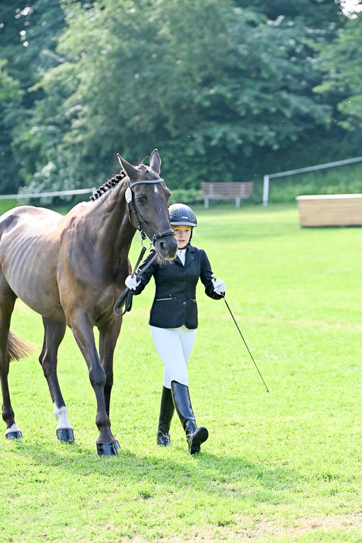  | 15062025 Vormustern _528 