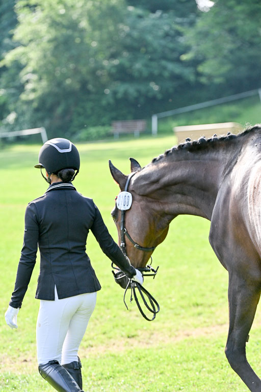  | 15062025 Vormustern _541 