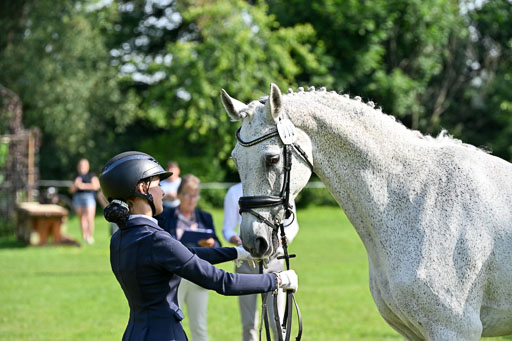  | 15062025 Vormustern _556 