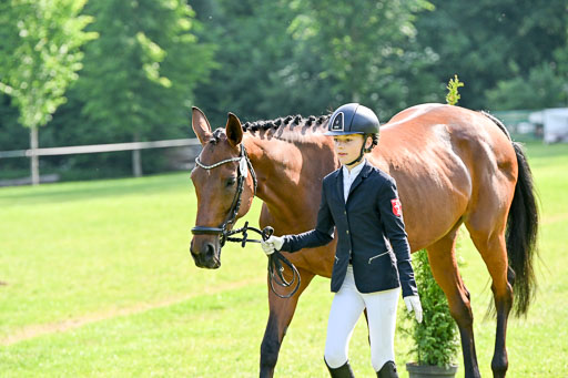  | 15062025 Vormustern _565 