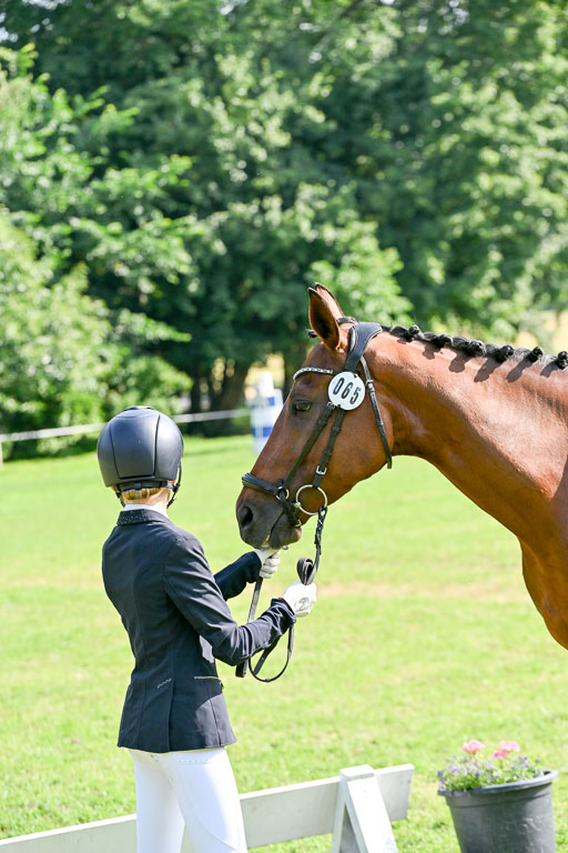  | 15062025 Vormustern _567 