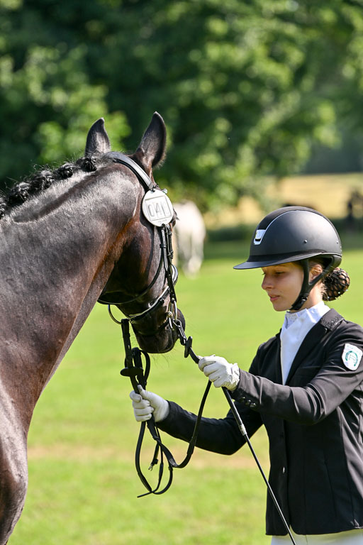  | 15062025 Vormustern _569 