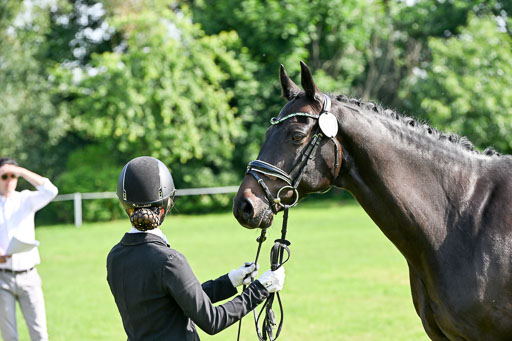  | 15062025 Vormustern _573 