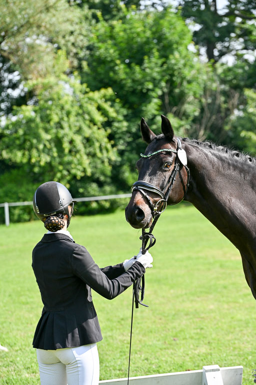  | 15062025 Vormustern _574 