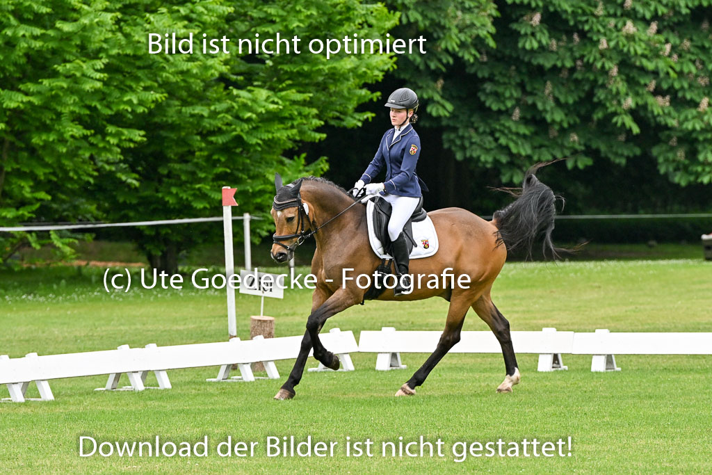  | 30052025 Dressur  (100) 