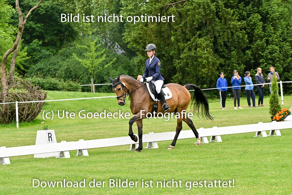 30052025-Dressur-102.jpg