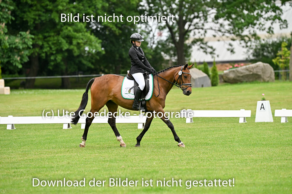  | 30052025 Dressur  (120) 