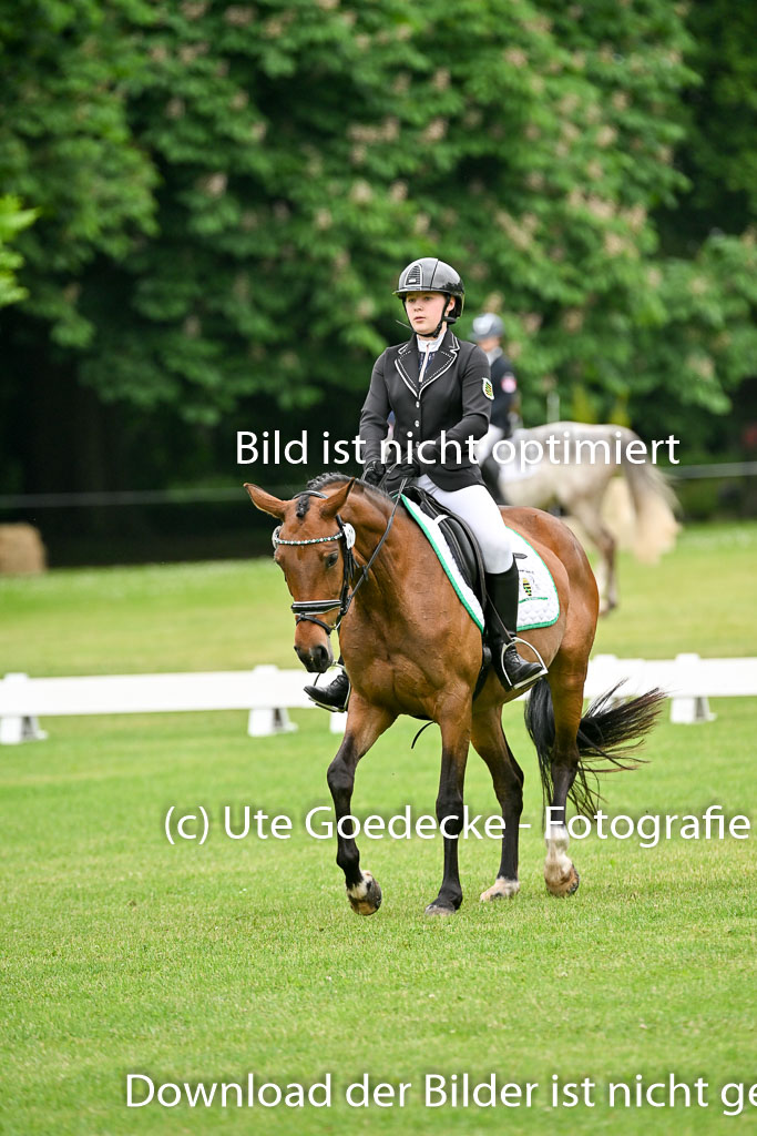  | 30052025 Dressur  (141) 