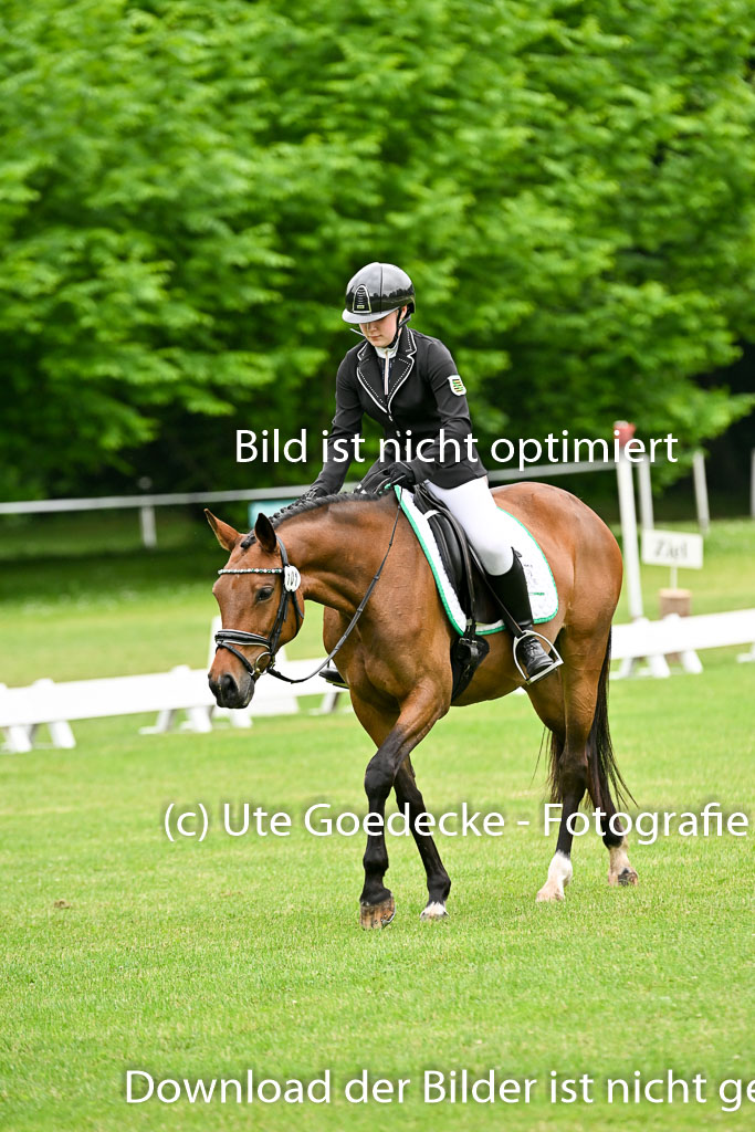  | 30052025 Dressur  (143) 