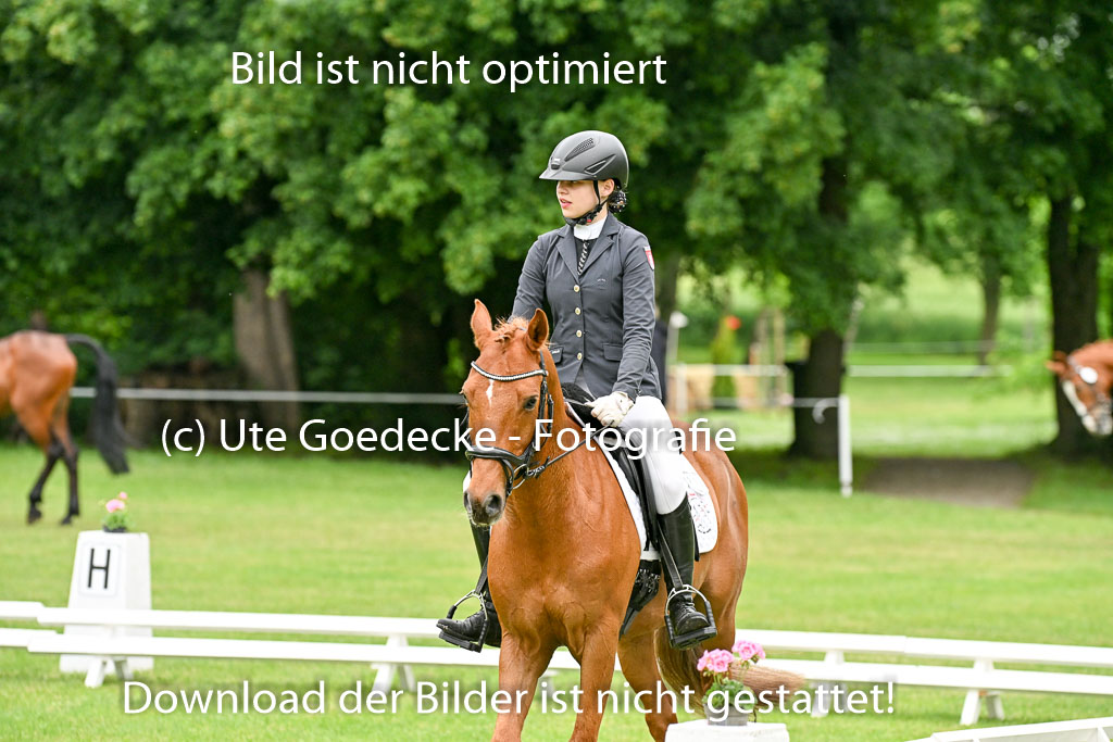  | 30052025 Dressur  (145) 