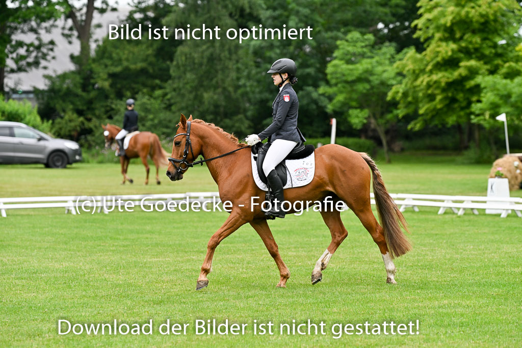  | 30052025 Dressur  (148) 