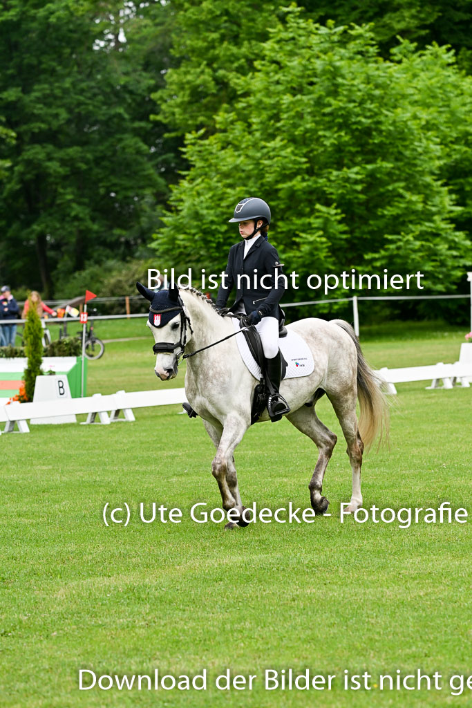  | 30052025 Dressur  (152) 