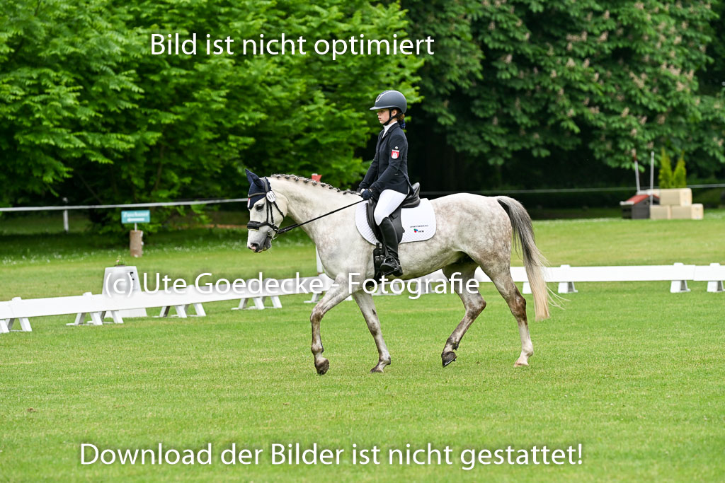  | 30052025 Dressur  (154) 