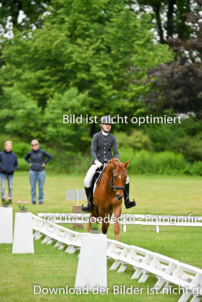  | 30052025 Dressur  (158) 