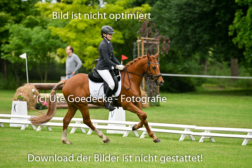  | 30052025 Dressur  (162) 