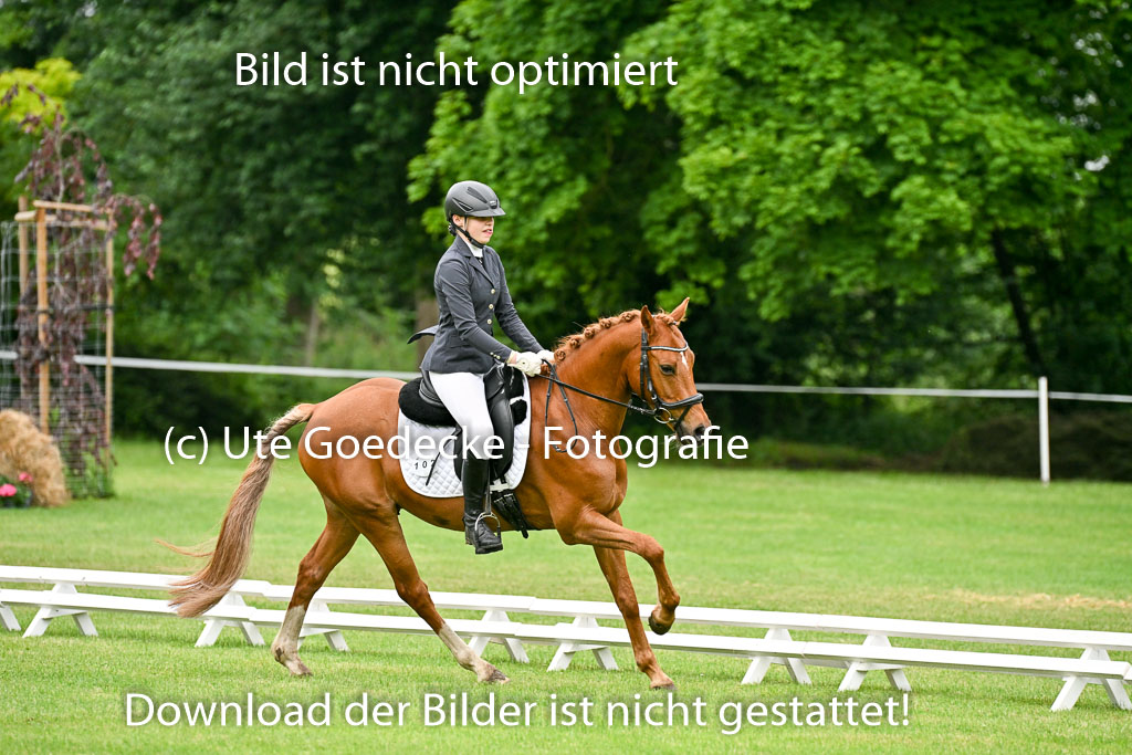  | 30052025 Dressur  (163) 
