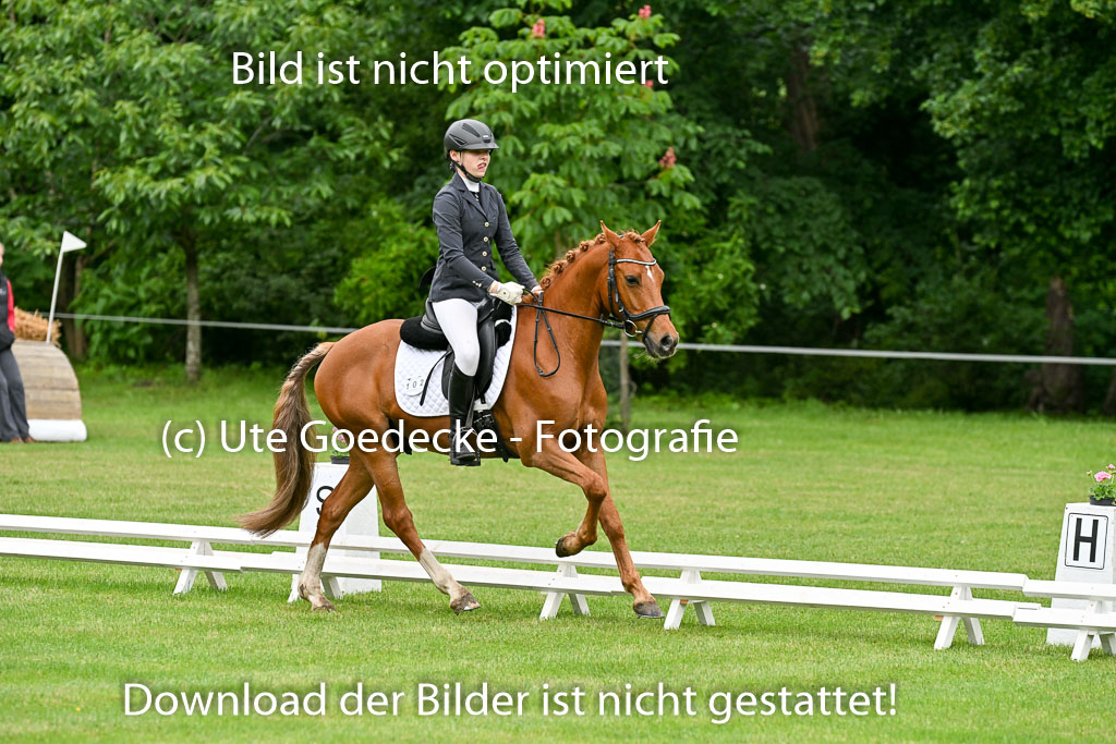  | 30052025 Dressur  (167) 