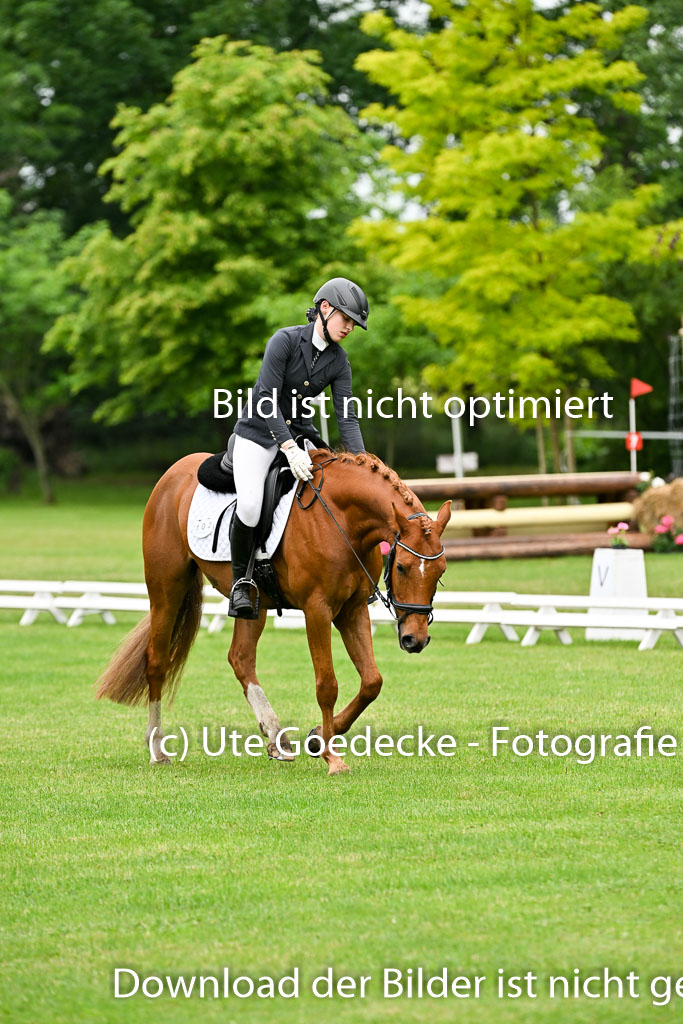  | 30052025 Dressur  (180) 