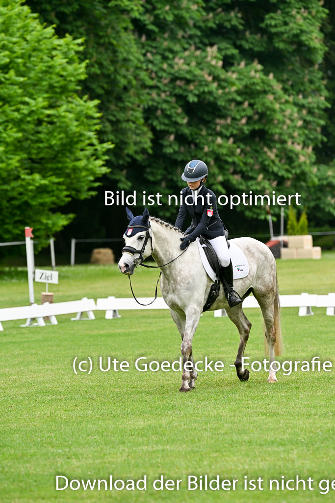  | 30052025 Dressur  (181) 