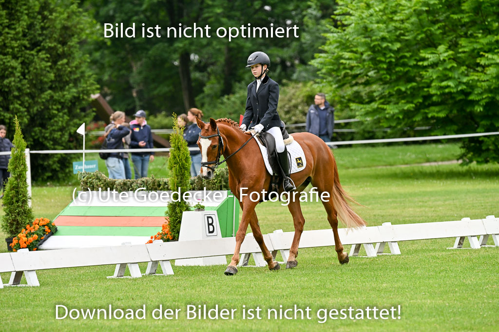  | 30052025 Dressur  (184) 