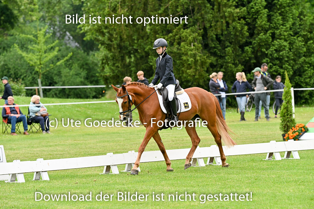  | 30052025 Dressur  (185) 