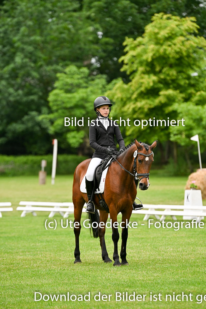  | 30052025 Dressur  (190) 