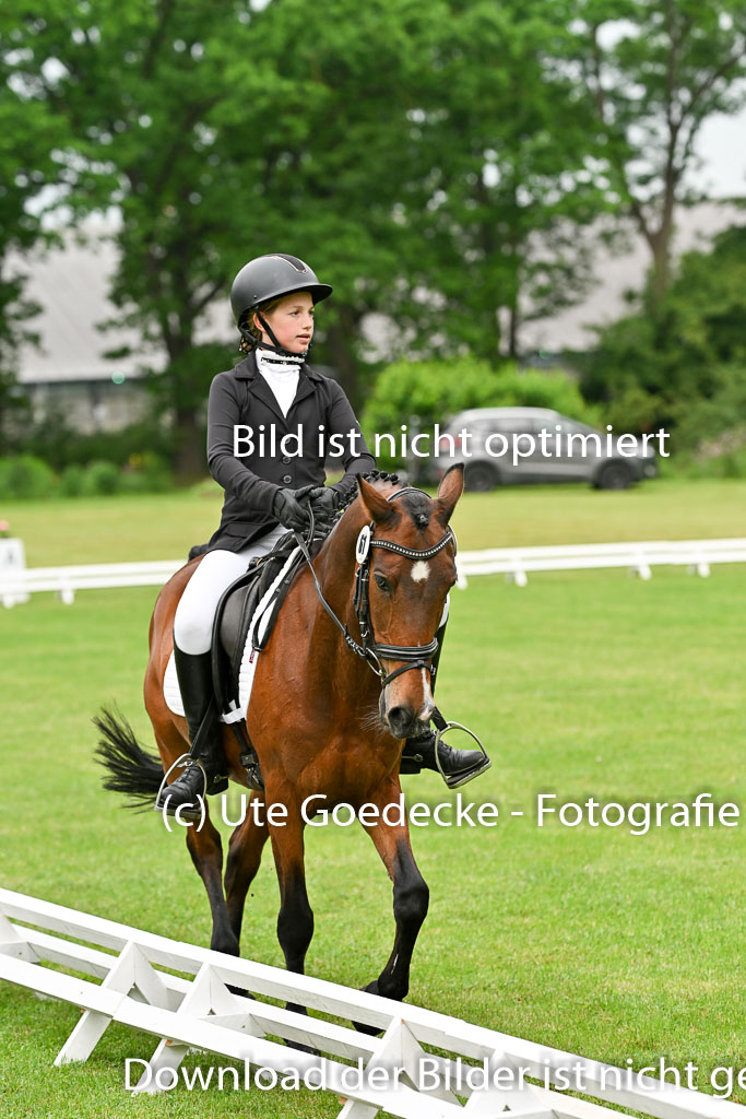  | 30052025 Dressur  (195) 