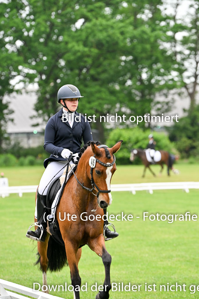  | 30052025 Dressur  (20) 