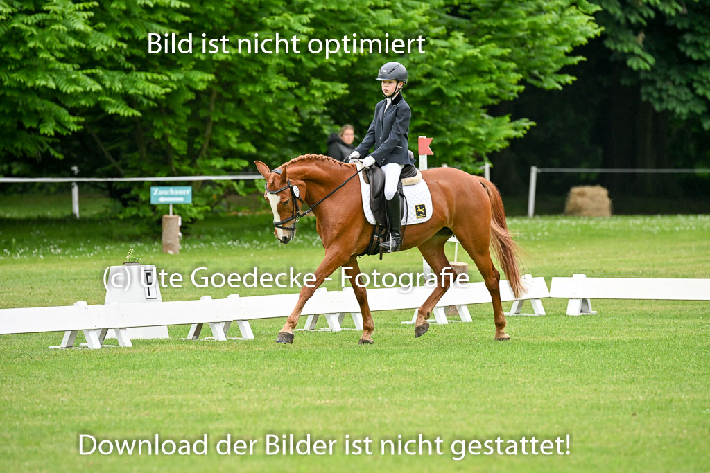  | 30052025 Dressur  (210) 