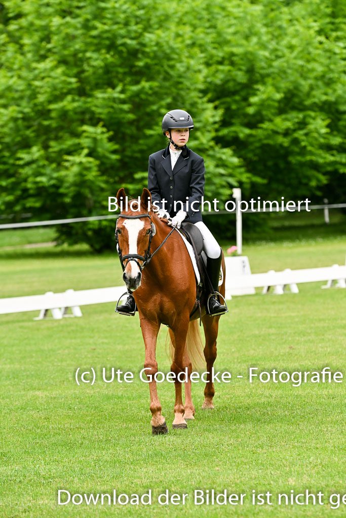  | 30052025 Dressur  (222) 