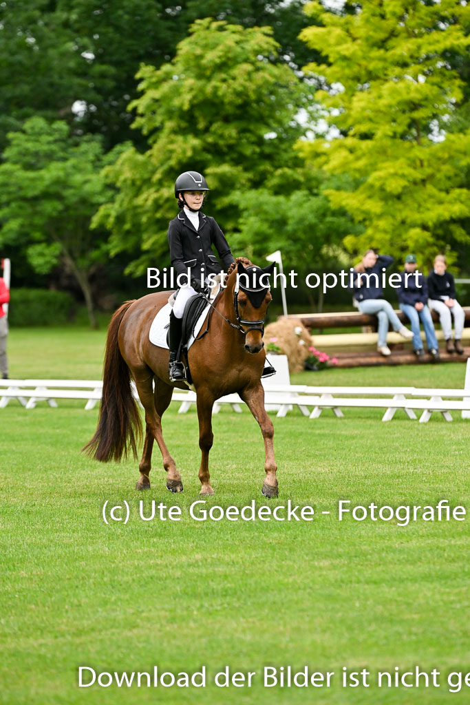  | 30052025 Dressur  (233) 