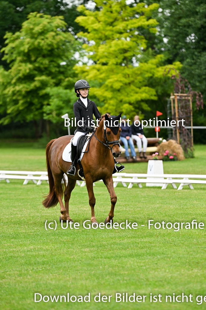30052025-Dressur-235.jpg